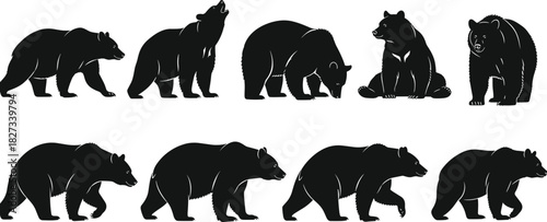 Bear silhouette collection in various poses, wildlife animal vector illustration set showing walking, standing, sitting, and searching behaviors for nature, forest, and outdoor design