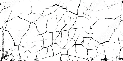 Black and white texture of cracks, stains and old surface. Grunge black and white vintage. Abstract texture for design. Black and white Grunge Texture with cracks. 