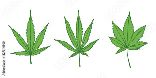 Set of hand drawn cannabis leaf Medicine marijuana Hemp leaves clipart in doodle style Single element for print, web, design, decor