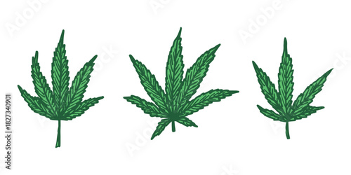 Set of hand drawn cannabis leaf Medicine marijuana Hemp leaves clipart in doodle style Single element for print, web, design, decor