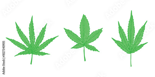 Set of hand drawn cannabis leaf Medicine marijuana Hemp leaves clipart in doodle style Single element for print, web, design, decor