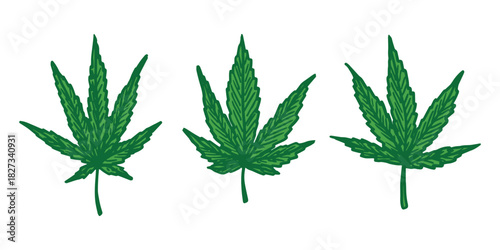 Set of hand drawn cannabis leaf Medicine marijuana Hemp leaves clipart in doodle style Single element for print, web, design, decor