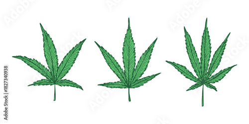 Set of hand drawn cannabis leaf Medicine marijuana Hemp leaves clipart in doodle style Single element for print, web, design, decor