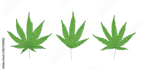Set of hand drawn cannabis leaf Medicine marijuana Hemp leaves clipart in doodle style Single element for print, web, design, decor