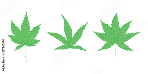 Set of hand drawn cannabis leaf Medicine marijuana Hemp leaves clipart in doodle style Single element for print, web, design, decor