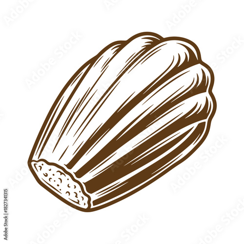 Vintage sketch illustration of a delicious brown madeleine french pastry isolated on white