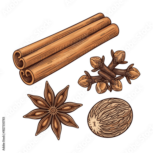 Aromatic culinary spices. Cinnamon sticks, cloves, star anise, nutmeg. Detailed food illustration.