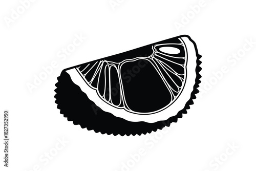 Citrus fruit slice. Detailed illustration of segments and rind texture. Healthy food element
