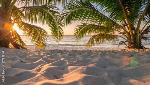 Sunset Beach Scene with Palm Trees and Calm Ocean in Warm Light