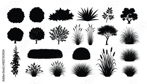 Garden shrub tree silhouettes vector collection. Set of various bushes and plants black shapes isolated.