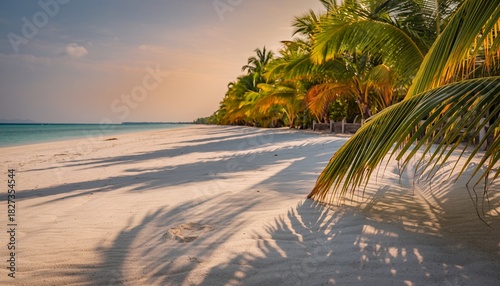 Tropical Beach with Palm Trees and Sandy Shore at Sunset