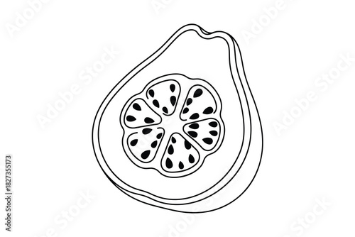 Outline drawing of a fresh and ripe papaya fruit cut in half. Sweet tropical fruit with seeds vector illustration.