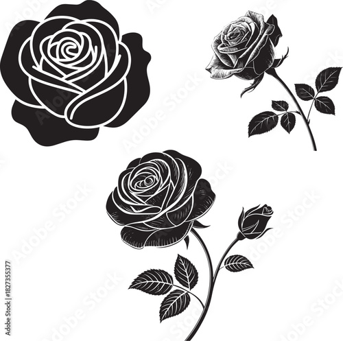 Rose flower silhouette illustration