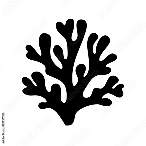 Silhouette of a dark sea plant against a pure white background
