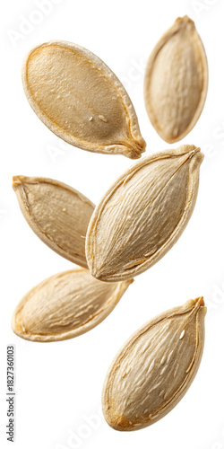 Wallpaper Mural pumpkin seeds isolated on white background Torontodigital.ca