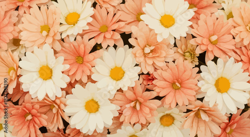Close-up of a beautiful bouquet of peach and white daisies.