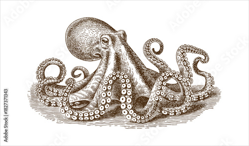 Vintage Kraken Octopus - Deep Sea Monster Engraving Art