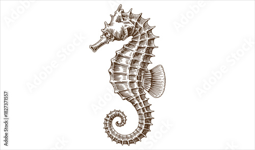 Intricate Seahorse Woodcut (Side View, Brown)