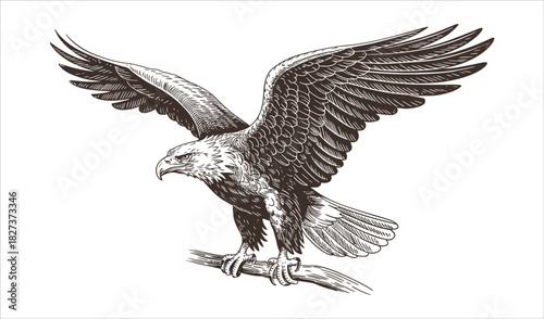 Striking Engraving Style Eagle Perched with Outstretched Wings Vector Illustration