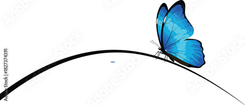 Vibrant Blue Morpho Butterfly Vector Perched on a Simple Curving Black Line, Representing Grace, Spring, Minimalist Nature, and Tranquility