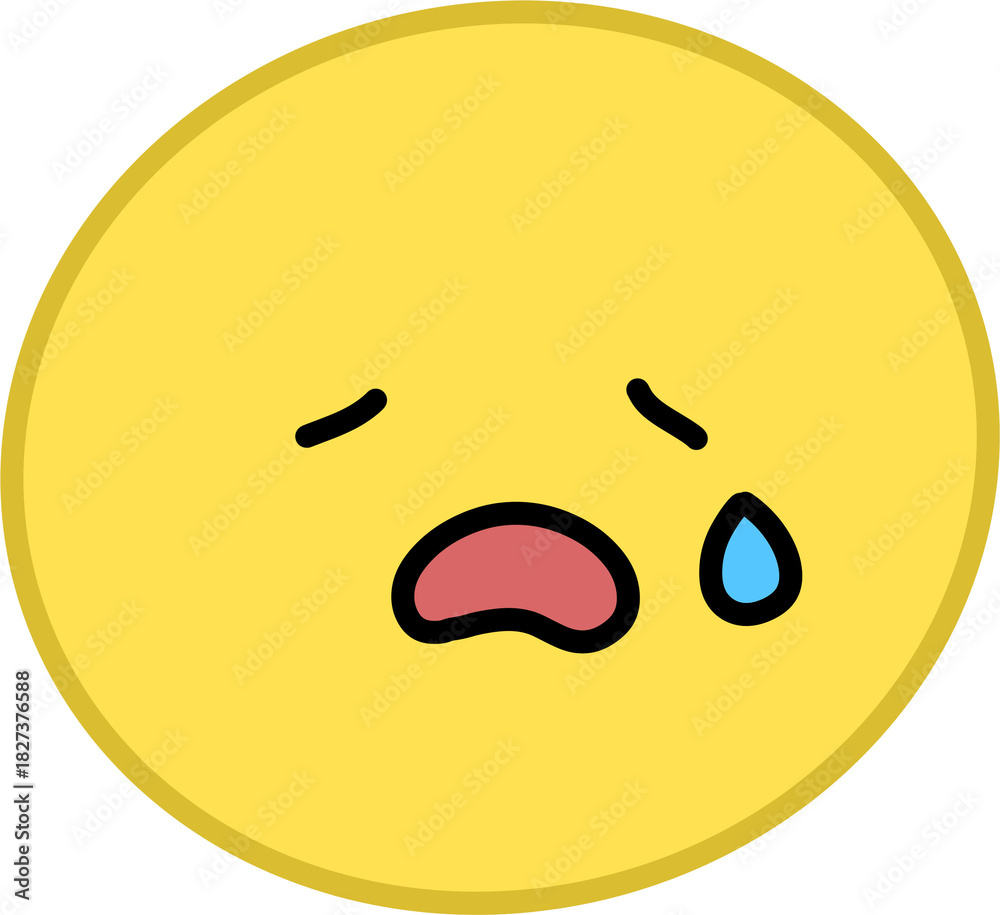 Fototapeta premium 우는표정