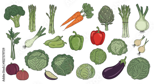 A vibrant collection of fresh and healthy vegetables, including broccoli, carrots, peppers, and various greens, arranged on a white background.