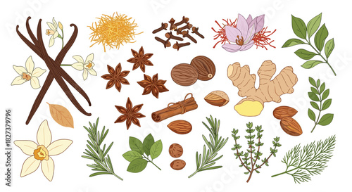 A diverse collection of fragrant spices and fresh herbs, including vanilla, ginger, saffron, rosemary, and cinnamon, presented on a white background.