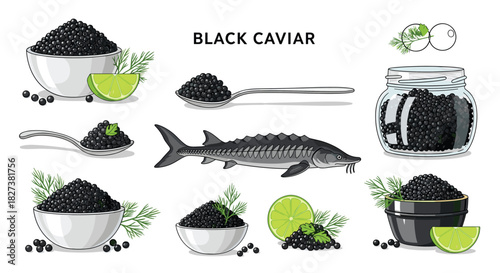 Detailed illustrations of black caviar in various servings like bowls, spoons, and a jar, garnished with lime and dill, complete with a sturgeon fish.
