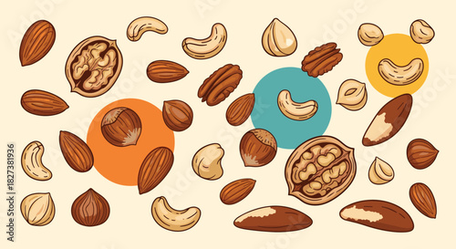 A vibrant and scattered assortment of healthy nuts including almonds, walnuts, cashews, hazelnuts, pecans, and Brazil nuts on a light background.