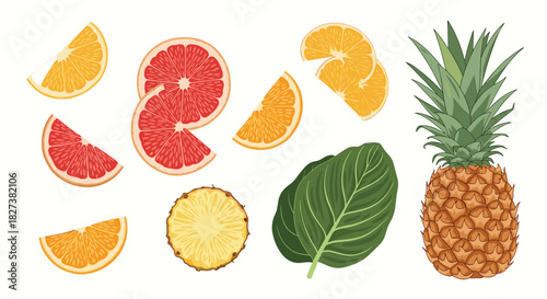 A vibrant illustration of fresh tropical fruits, featuring a whole pineapple, various orange and grapefruit slices, and a lush green leaf.