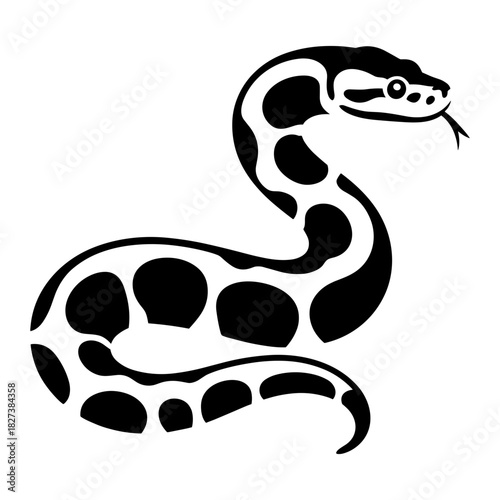 Ball Python