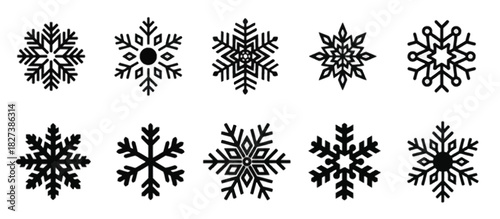 Black plant silhouettes with winter snowflake decorations