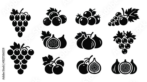 Fruit silhouette icons collection isolated on white background, Vector