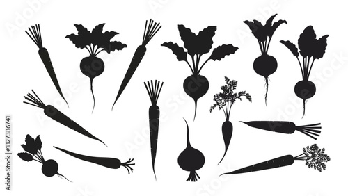 Root vegetable silhouettes collection isolated on white background, Vector