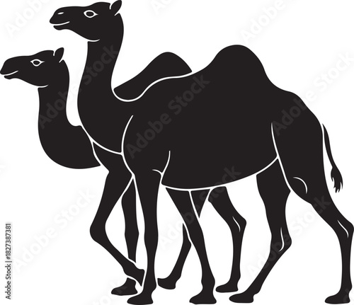 Silhouette of Two Dromedary Camels Walking Keywords: camels, dromedary, silhouette, animal