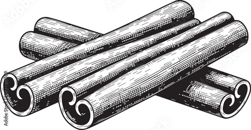 Vintage Engraving of Cinnamon Sticks Spice
