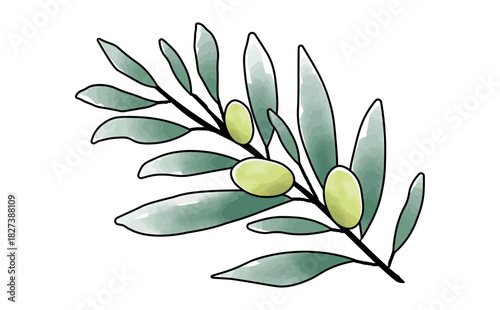 手描きの水彩のシンプルなオリーブの枝のイラスト素材 Olive Branch Illustration