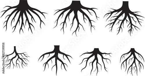 A collection of seven different black tree root vector silhouettes