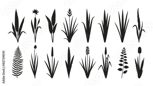 Diverse plant silhouettes collection isolated on white background, Vector