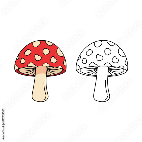 Amanita muscaria mushroom illustration: one colored with a red cap and white spots, the other a black outline. perfect for children's books, nature designs, or educational content.