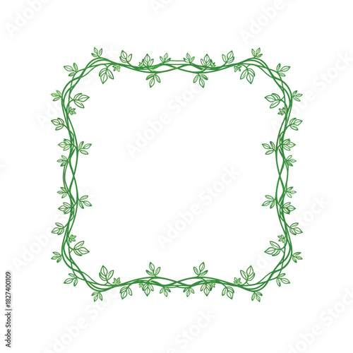 Green vine and leaf rectangular frame with organic flowing lines, perfect for natural-themed designs, ecological concepts, spring and summer invitations, and rustic decorations.