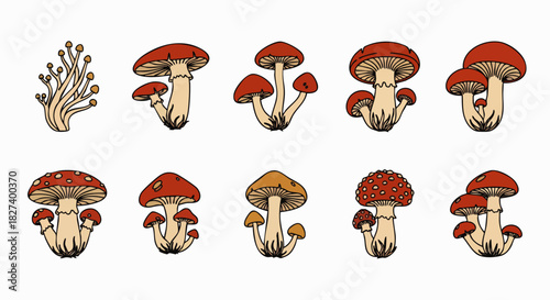A collection of hand-drawn mushroom illustrations showcases various species, perfect for nature enthusiasts and botanical projects, with detailed artistic renderings.
