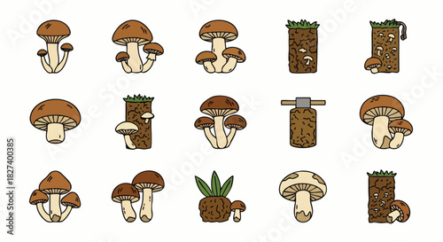 A collection of illustrated mushrooms and stylized plant elements, perfect for nature-themed designs and creative projects with a whimsical touch.
