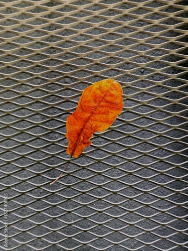 A dried, orange autumn leaf caught in a metal mesh or expanded metal. 