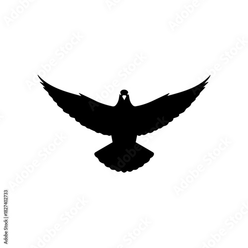 Silhouette of a bird spreading its wings, a symbol of freedom and peace