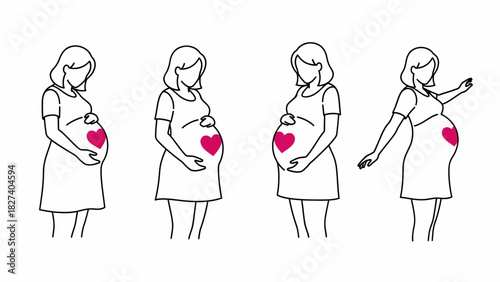 Four stages of pregnancy with heart on belly line art.