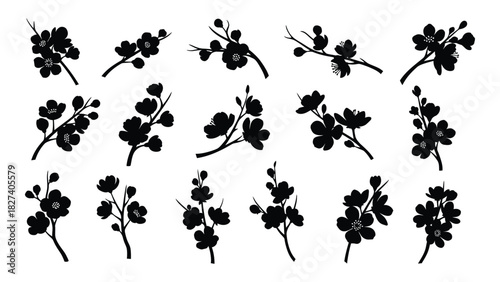 Cherry blossom branch silhouettes set isolated on white background, Vector