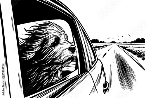 A dog is sitting in a car window, looking out at the road. The dog's fur is blowing in the wind, and the scene has a sense of freedom and adventure
