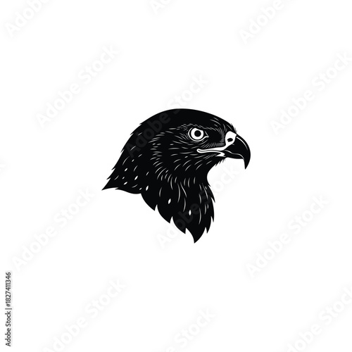 Detailed black and white eagle head illustration with striking gaze