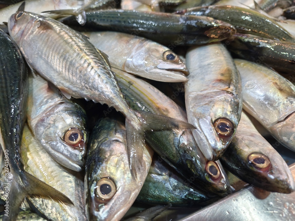 Obraz premium Fresh livestock fish selling at wet market